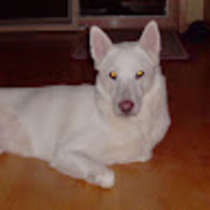 Meet your Posher, Drew